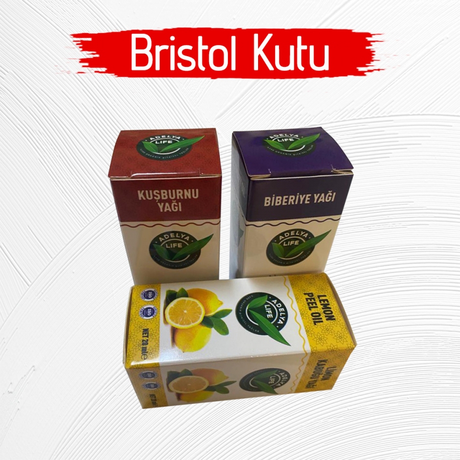 Bristol Kutu